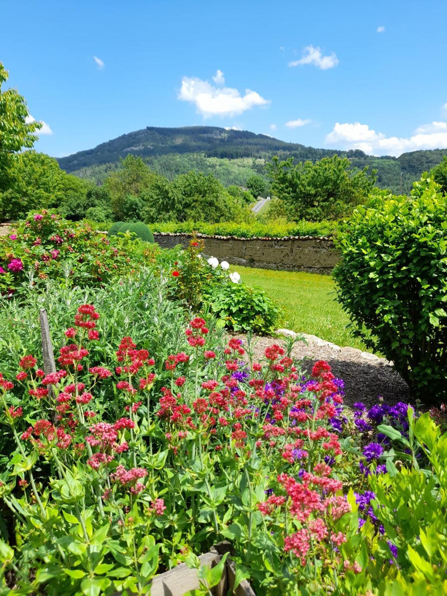 Le Jardin De Chignore Vollore-Ville Екстер'єр фото